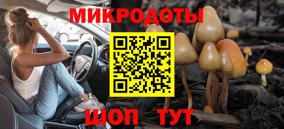 Псилоцибиновые грибы MAGIC MUSHROOMS  Вход с VPN  Балашиха 
